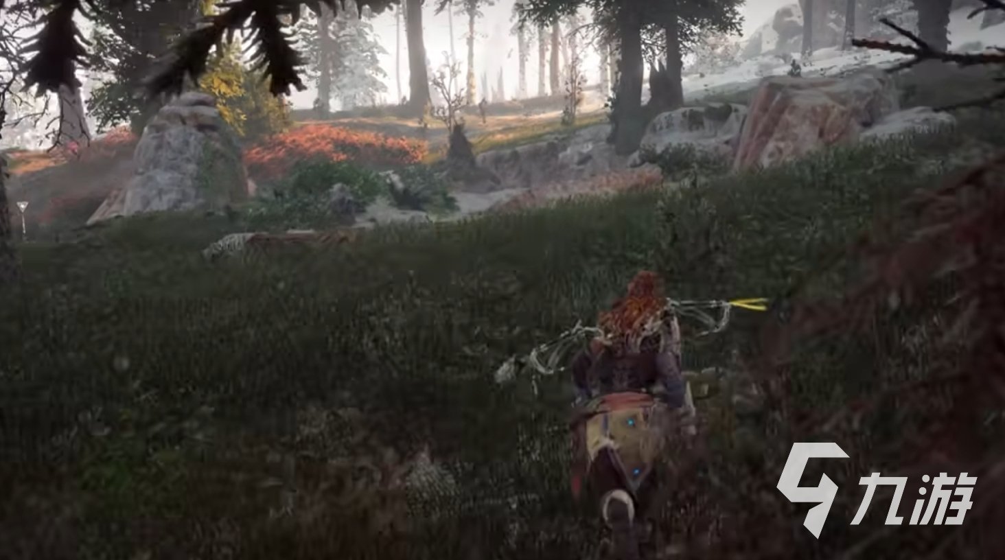 森林 年度版 截图14